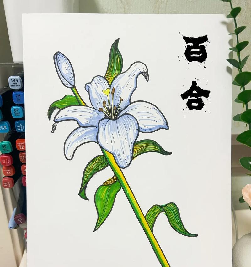 杂花组合的花语和寓意通常是什么？