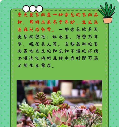 多肉寿的养殖方法是什么？如何保持多肉寿的健康生长？