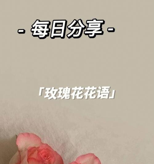 玫瑰花有哪些特征？玫瑰花语及其象征意义是什么？