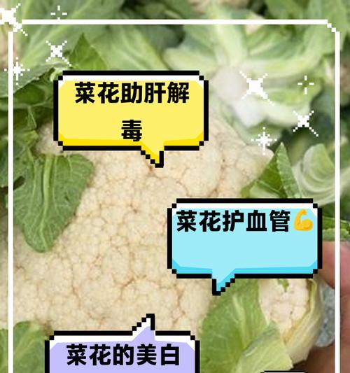 菜花手捧花的花语是什么？手捧花中菜花代表什么意义？