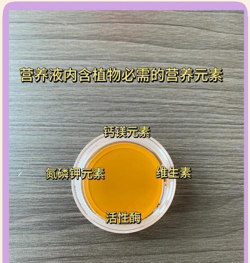 绿萝的养殖方法有哪些？绿萝叶子发黄怎么办？