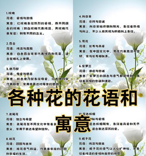 富贵的白玫瑰花语代表什么含义？