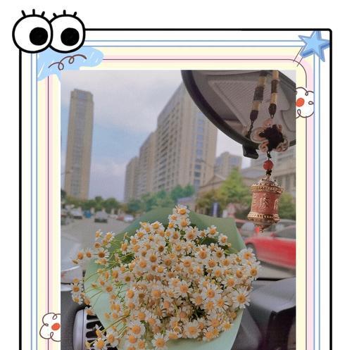 洋甘菊通常象征着什么？