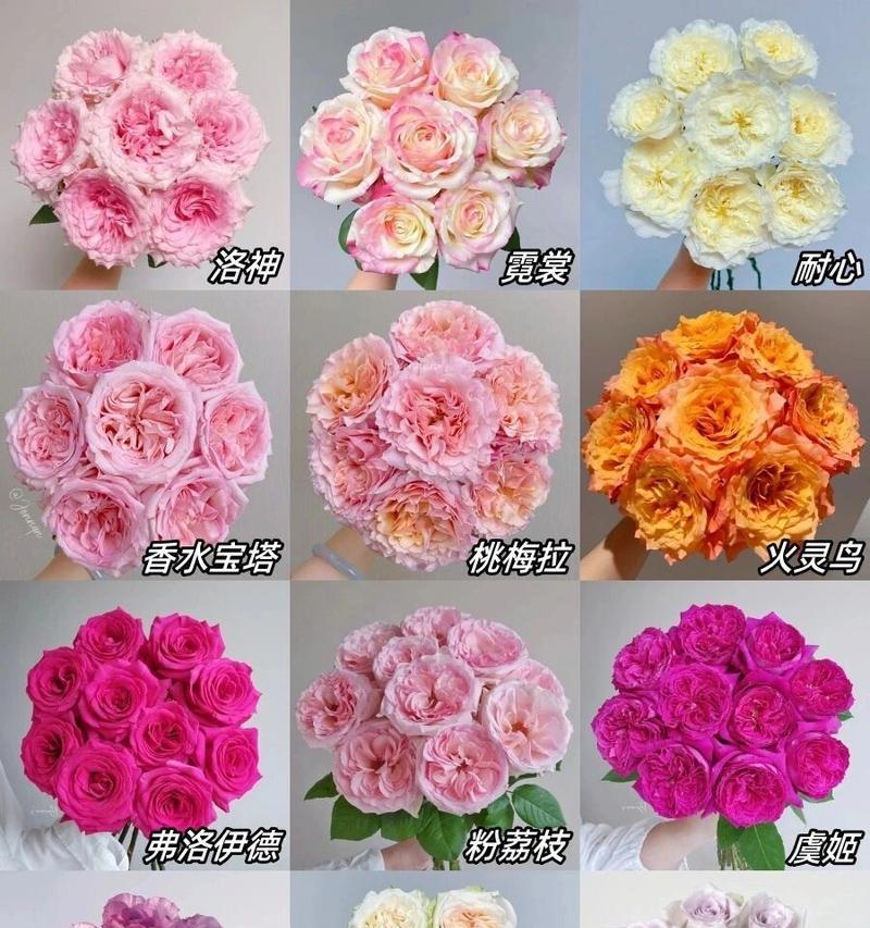 花语全都有是什么花？哪种花包含了所有花语？