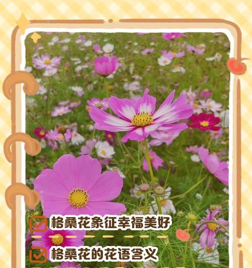 花语全都有是什么花？哪种花包含了所有花语？