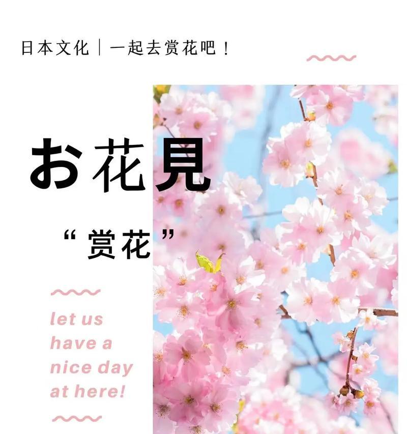 樱花的花语代表什么？在春天送樱花有何寓意？