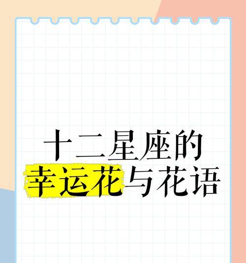 水瓶座男友喜欢的花束花语？