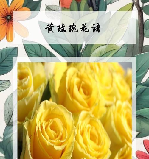 向对方道歉的花语是什么？哪种花适合表达歉意？