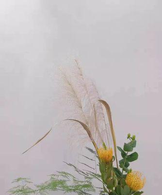 一根花枝能传达什么信息？