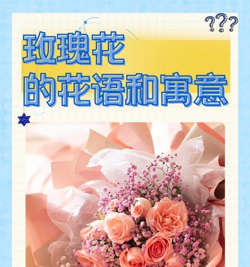 十七朵玫瑰花手捧花代表什么？送花时应注意哪些礼仪？