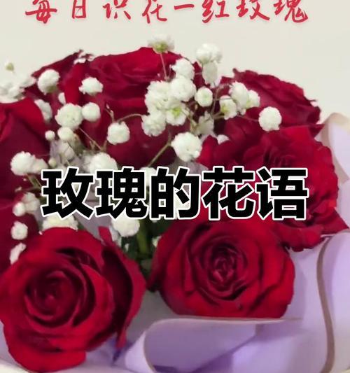 22朵混搭玫瑰花语是什么？如何表达爱意？