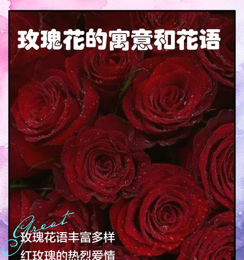 哪种花的花语代表了爱情？爱情的花语有哪些？