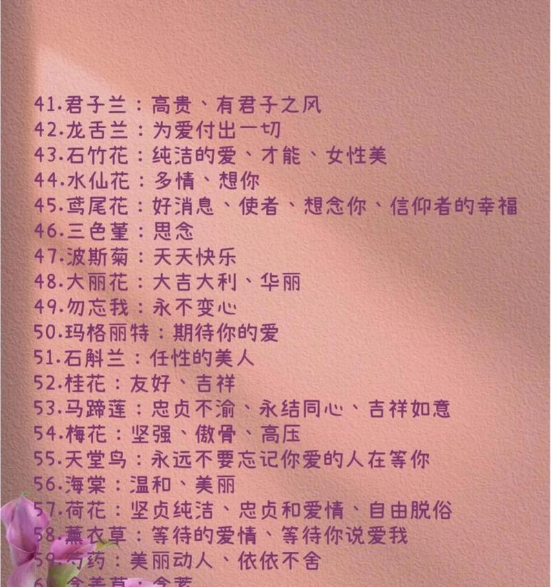 好奇的花语代表什么？