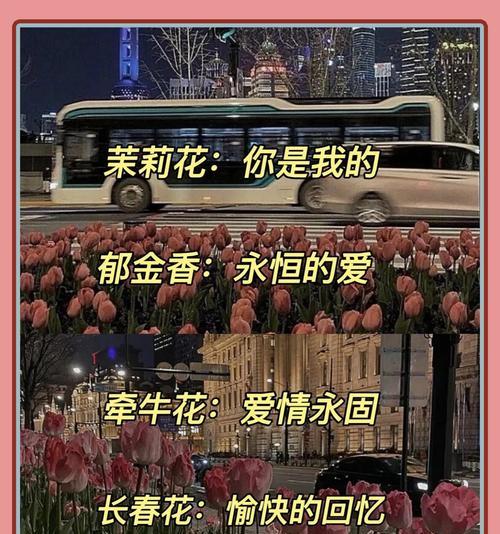 永恒而无望的爱是什么的花语？这种花语象征了什么？