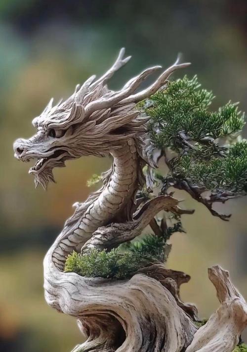 盆栽如何转变为艺术品？