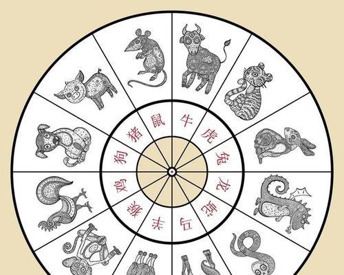 鼠的花语与生肖鼠有何联系？