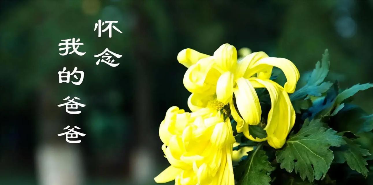 很想很想你的花语是什么？哪种花表达了深切的思念？