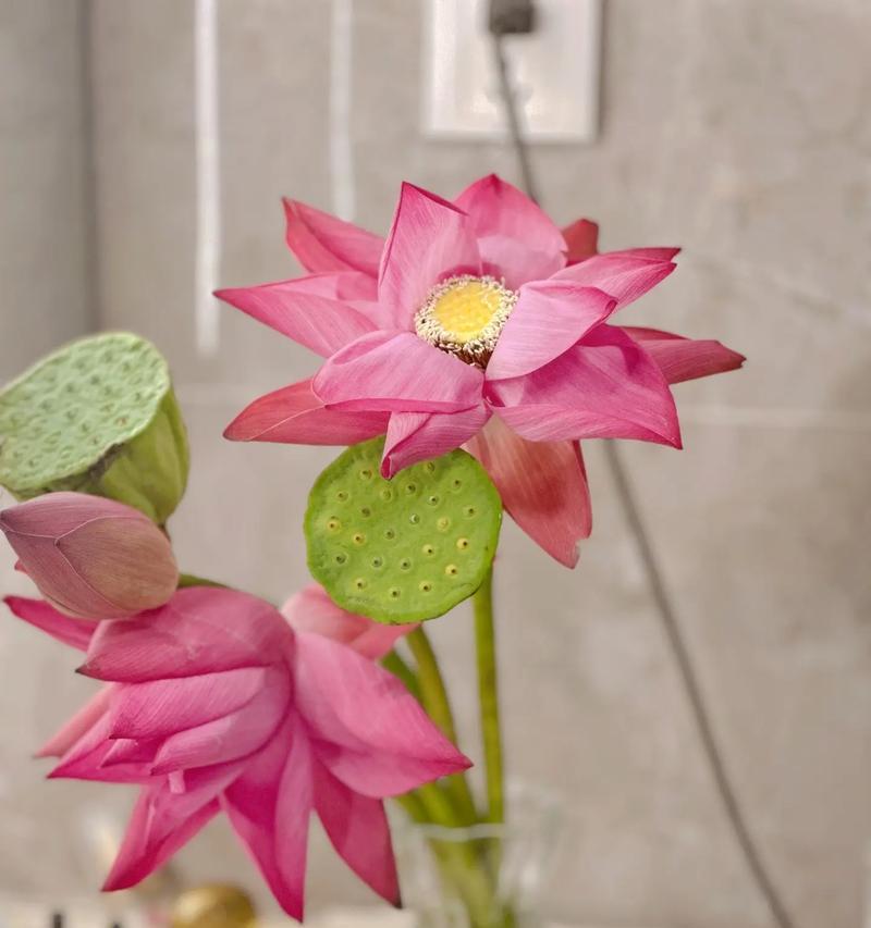 中式插花中有哪些花语禁忌？