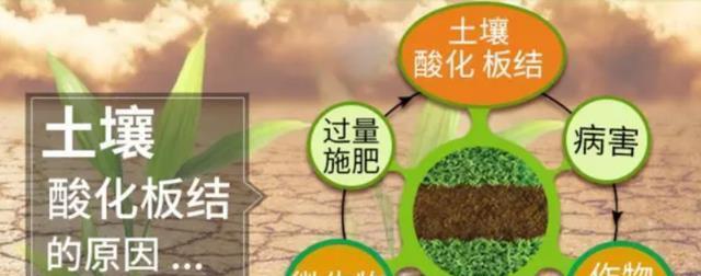 土壤板结后应使用哪种肥料？如何通过施肥改善土壤结构？