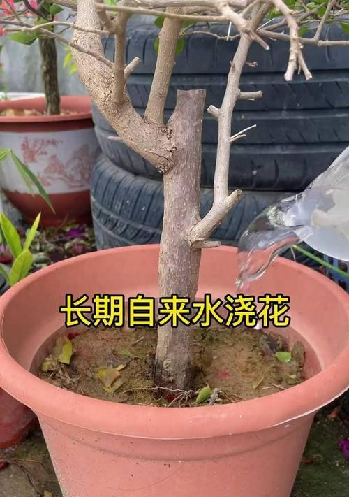 土壤板结后应使用哪种肥料？如何通过施肥改善土壤结构？