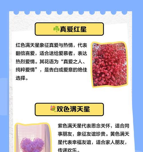 哪种花的花语与星星相关？