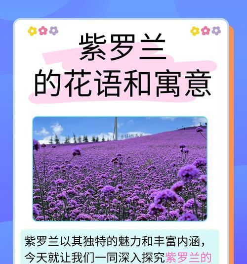花语与寓意的区别在哪里？