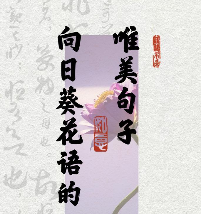 向日葵的花语有哪些？如何通过牌子表达？