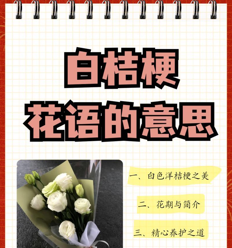 什么花语代表永恒的爱？如何表达永恒的爱？