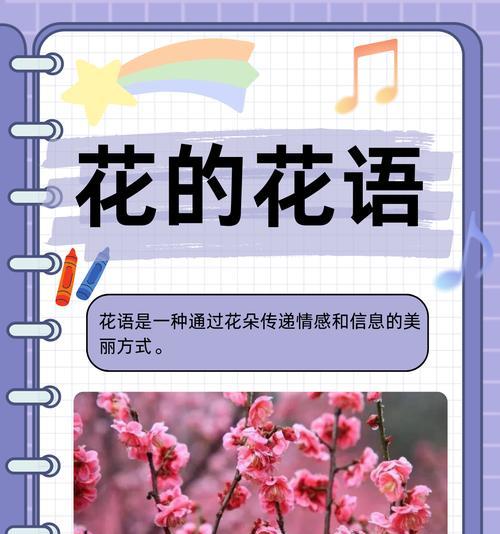 最满意的玫瑰花语是什么？它传递了怎样的情感？