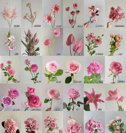 团状花材包括哪些种类？它们的摆放技巧是什么？