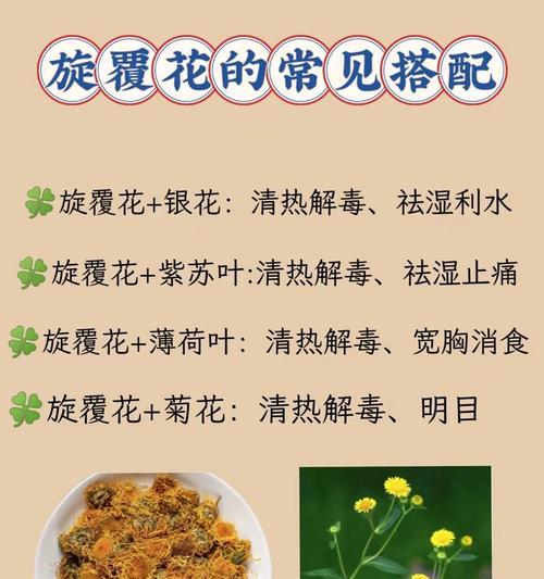 悬浮花传递了哪些情感？