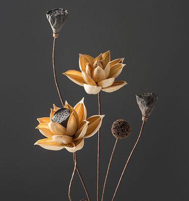 莲蓬花的花语有何深意？