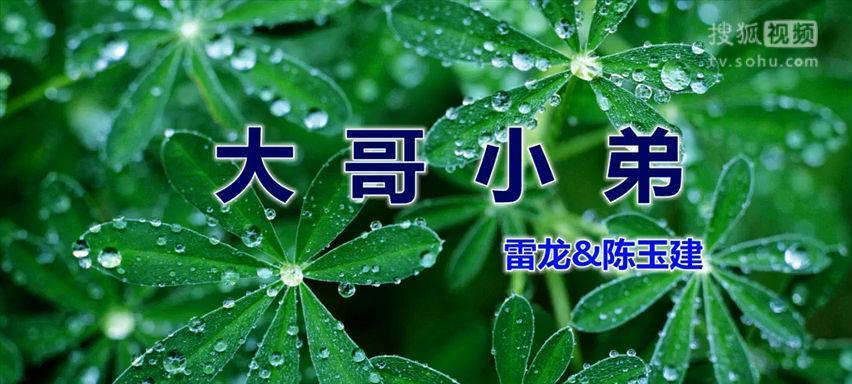 小弟送给大哥的花有何特殊含义？