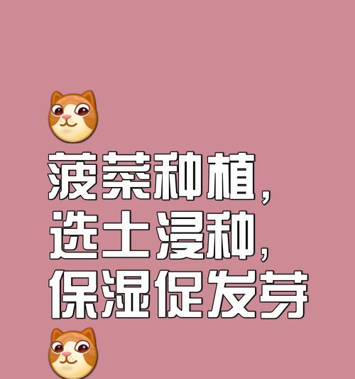 种子播种的正确方法是什么？播种后如何确保种子发芽？