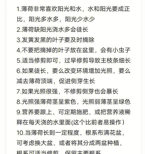 薄荷种植的正确方法是什么？薄荷生长中应注意什么？