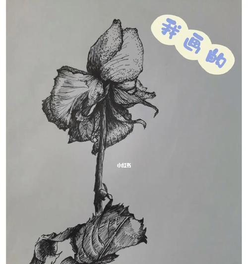 凋零玫瑰的花语是什么意思？凋零玫瑰象征着什么？