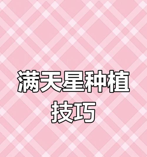 满天星怎么播种？播种前需要准备哪些条件？