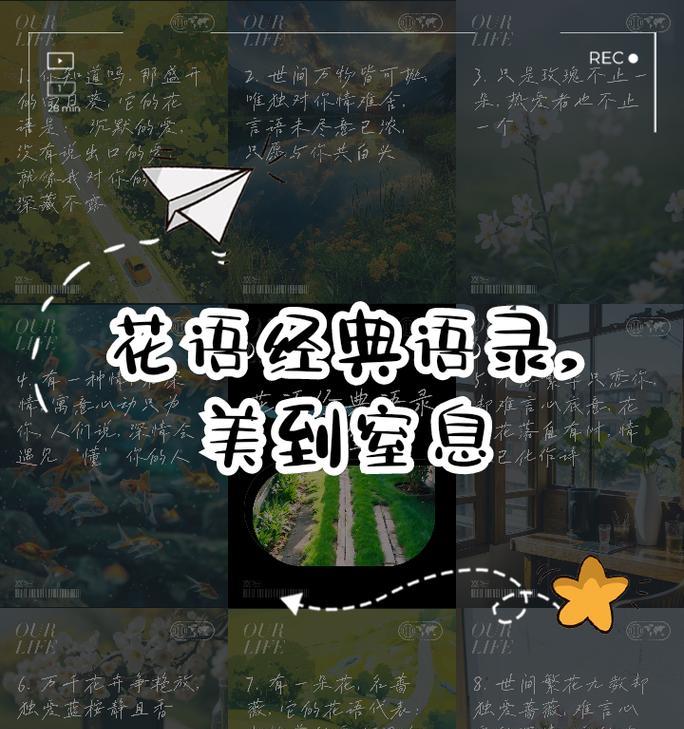 花语中的沉默且热烈的爱是什么意思？这种花语背后有何深意？