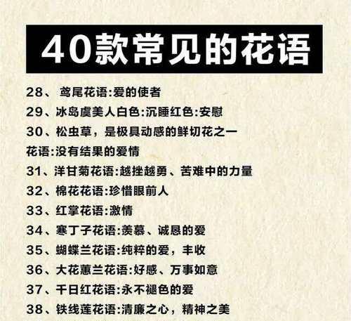 花语中的沉默且热烈的爱是什么意思？这种花语背后有何深意？