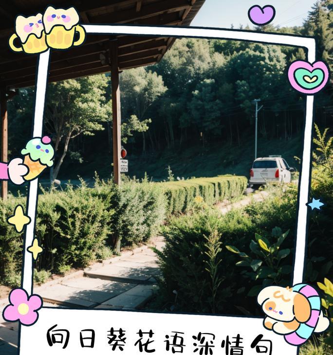 花语中的沉默且热烈的爱是什么意思？这种花语背后有何深意？