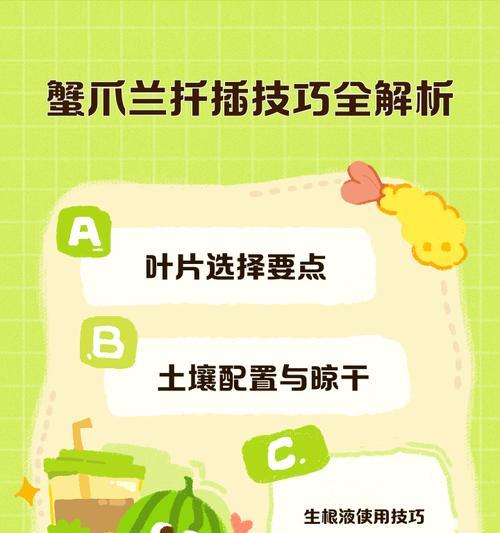 蟹爪兰扦插的最佳方法是什么？扦插后如何照料？