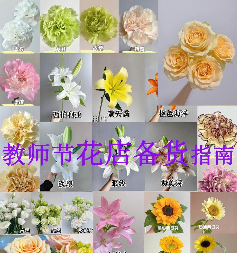 送给老师的花应该选择哪种花语？