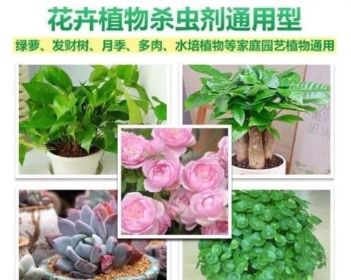 发现花草有虫子怎么处理？有哪些安全的驱虫方法？