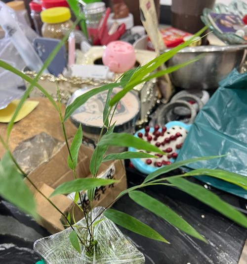 你知道世界上最小的花是什么吗？它有哪些特点？