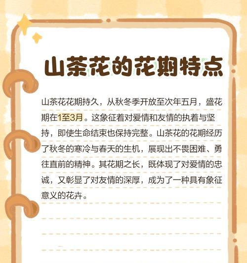 滇山茶花的花语与寓意有何深意？