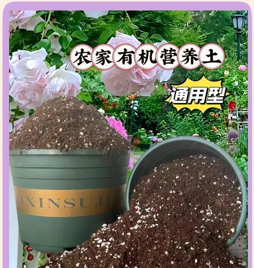 植物营养土怎么配成的？配制营养土的正确步骤是什么？