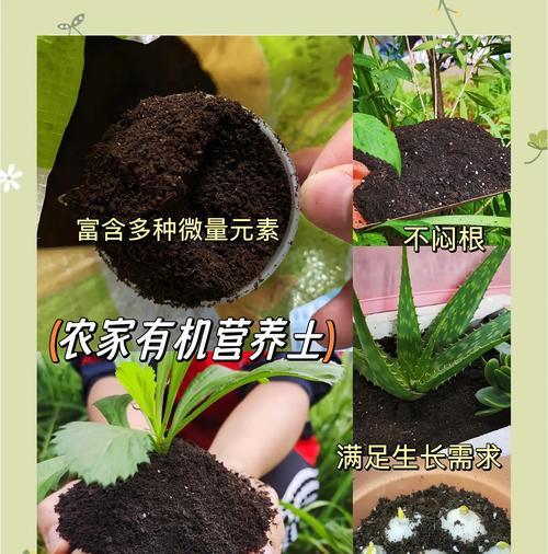 植物营养土怎么配成的？配制营养土的正确步骤是什么？