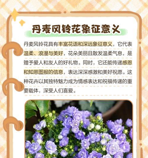 送自己一个浪漫的花语是什么？如何选择合适的花朵表达情感？