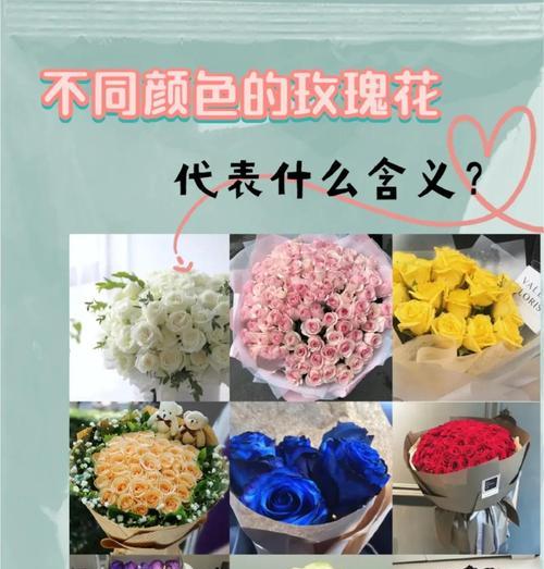 玫瑰花种类有哪些寓意？不同玫瑰代表什么？