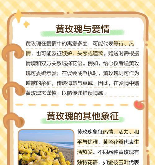 玫瑰花种类有哪些寓意？不同玫瑰代表什么？